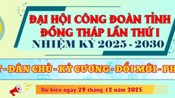 <a href="/tin-do-hoa" title="Infographic" rel="dofollow">Bài viết liên quan</a>
