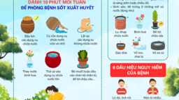 <a href="/tin-do-hoa" title="Infographic" rel="dofollow">Bài viết liên quan</a>