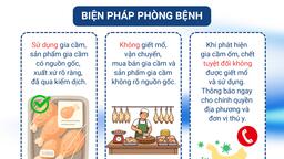 <a href="/tin-do-hoa" title="Infographic" rel="dofollow">TIN ĐỒ HOẠ</a>